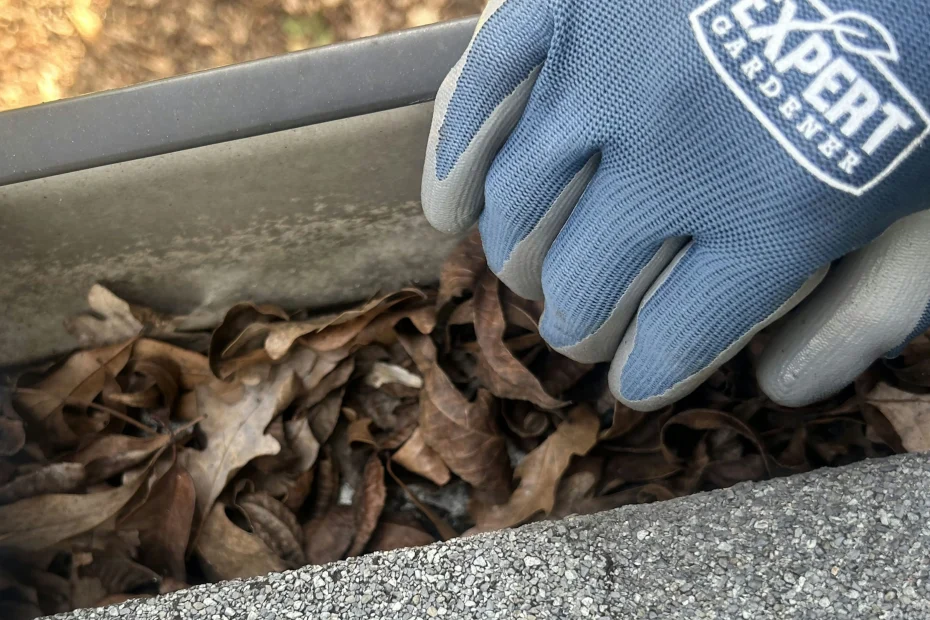 Gutter Cleaning New Castle