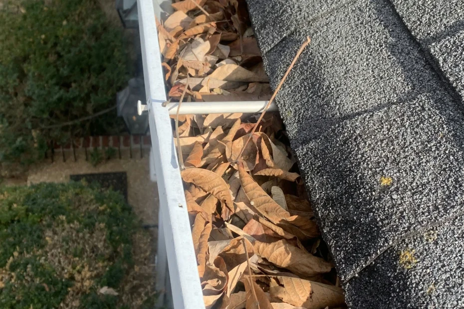 Gutter Cleaning New Castle